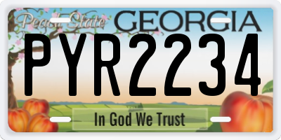 GA license plate PYR2234