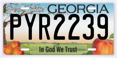 GA license plate PYR2239