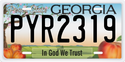 GA license plate PYR2319