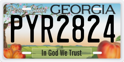 GA license plate PYR2824