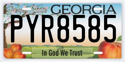 GA license plate PYR8585