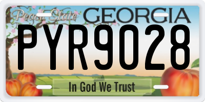 GA license plate PYR9028