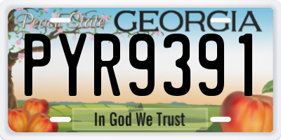 GA license plate PYR9391