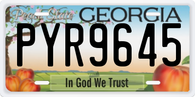 GA license plate PYR9645