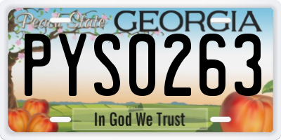 GA license plate PYS0263