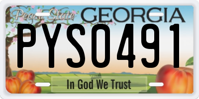 GA license plate PYS0491