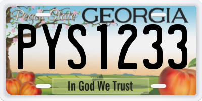 GA license plate PYS1233