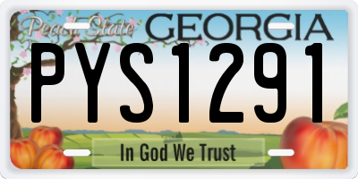 GA license plate PYS1291