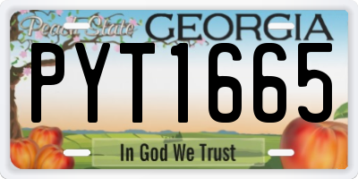GA license plate PYT1665