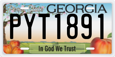 GA license plate PYT1891