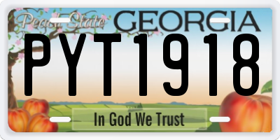 GA license plate PYT1918