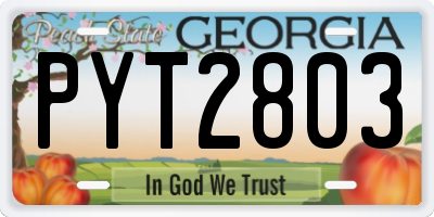 GA license plate PYT2803