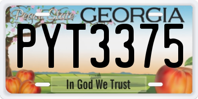 GA license plate PYT3375