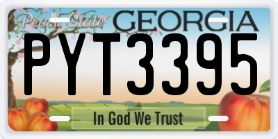 GA license plate PYT3395