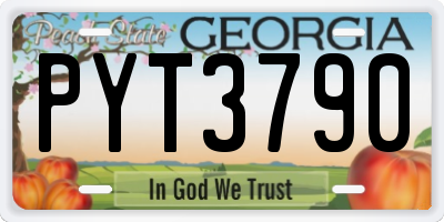 GA license plate PYT3790