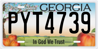 GA license plate PYT4739