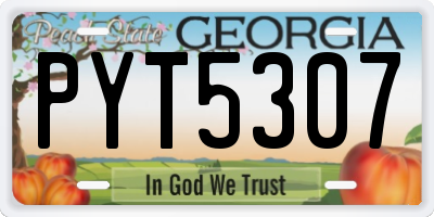 GA license plate PYT5307