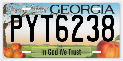 GA license plate PYT6238