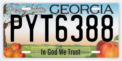 GA license plate PYT6388