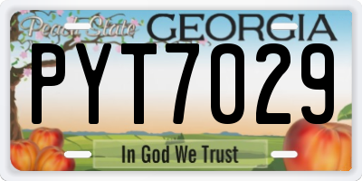 GA license plate PYT7029