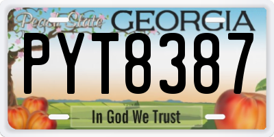 GA license plate PYT8387