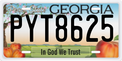 GA license plate PYT8625