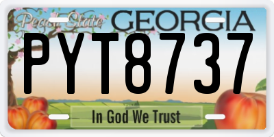 GA license plate PYT8737