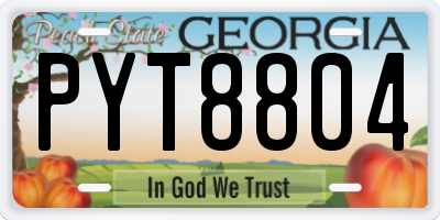 GA license plate PYT8804