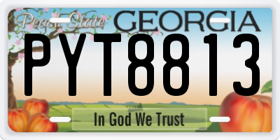 GA license plate PYT8813