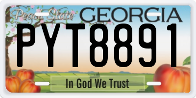 GA license plate PYT8891