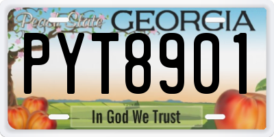 GA license plate PYT8901
