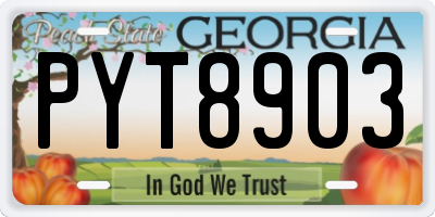 GA license plate PYT8903
