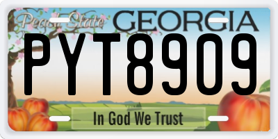 GA license plate PYT8909