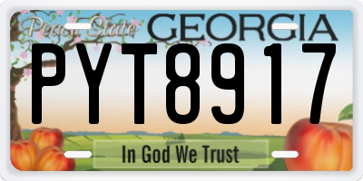 GA license plate PYT8917