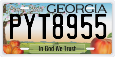 GA license plate PYT8955