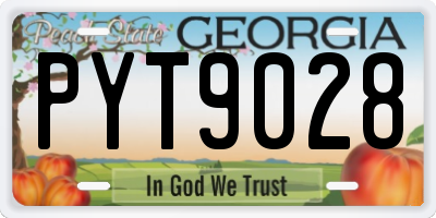 GA license plate PYT9028