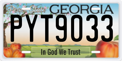 GA license plate PYT9033