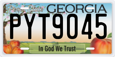 GA license plate PYT9045