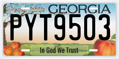GA license plate PYT9503