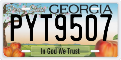 GA license plate PYT9507