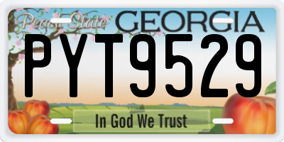 GA license plate PYT9529