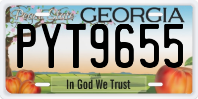 GA license plate PYT9655