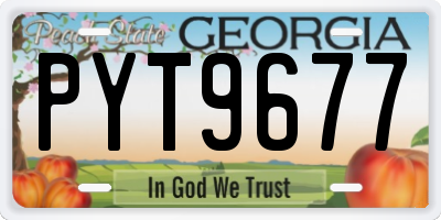 GA license plate PYT9677