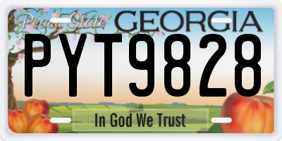 GA license plate PYT9828