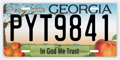 GA license plate PYT9841