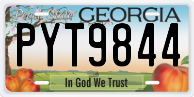GA license plate PYT9844