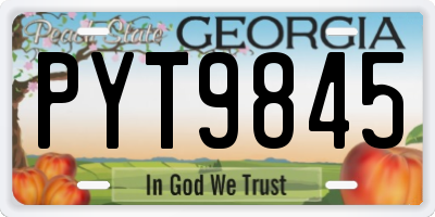 GA license plate PYT9845