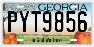GA license plate PYT9856