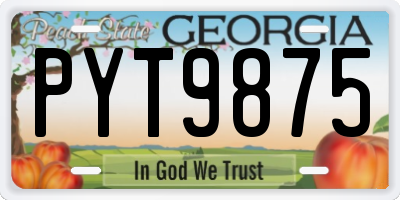 GA license plate PYT9875