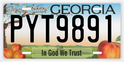 GA license plate PYT9891